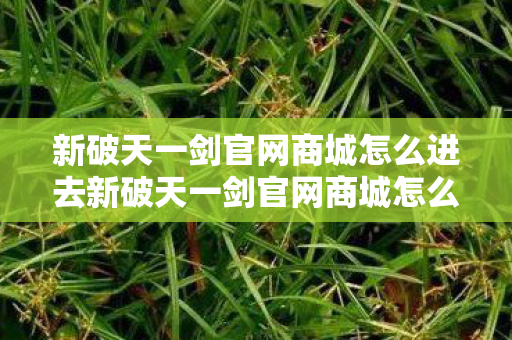 新破天一剑官网商城怎么进去新破天一剑官网商城怎么进图片