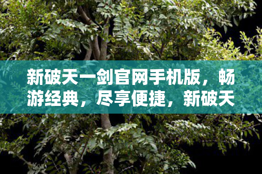 新破天一剑官网手机版图片