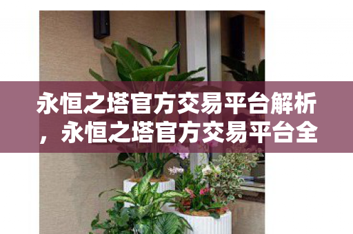 永恒之塔官方交易平台全解析图片