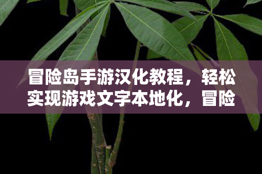 冒险岛手游汉化教程,轻松实现游戏文字本地化,冒险岛手游汉化教程,轻松实现游戏文字本地化 冒险岛手游汉化教程,轻松实现游戏文字本地化,冒险岛手游汉化教程,轻松实现游戏文字本地化
