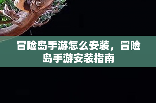 冒险岛手游怎么安装,冒险岛手游安装指南 冒险岛手游怎么安装,冒险岛手游安装指南