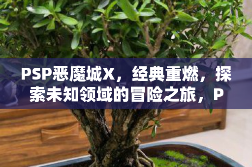 PSP恶魔城X，经典重燃，探索未知领域的冒险之旅，PSP恶魔城X经典重燃，探索未知领域的冒险之旅