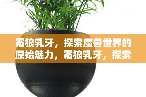 霜狼乳牙，探索魔兽世界的原始魅力，霜狼乳牙，探索魔兽世界的原始魅力