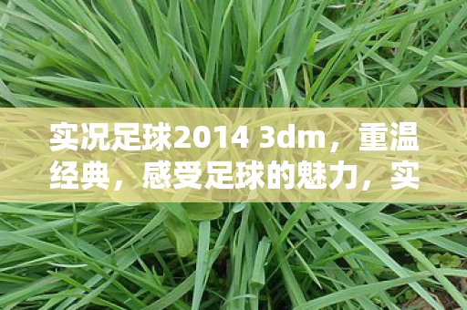 实况足球2014 3dm，重温经典，感受足球的魅力，实况足球2014 3dm，重温经典，感受足球魅力