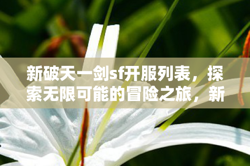 新破天一剑sf开服列表，探索无限可能的冒险之旅，新破天一剑sf开服列表，开启无限可能的冒险之旅