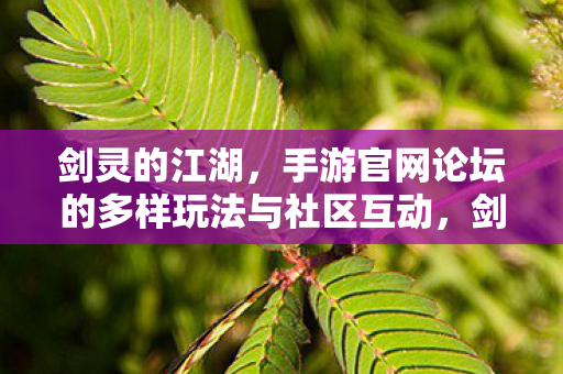 手游官网论坛的多样玩法与社区互动图片