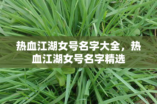 热血江湖女号名字大全,热血江湖女号名字精选 热血江湖女号名字大全,热血江湖女号名字精选