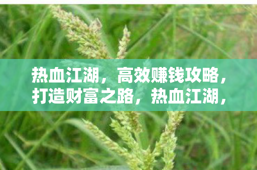 热血江湖，高效赚钱攻略，打造财富之路，热血江湖，高效赚钱攻略，助你打造财富之路