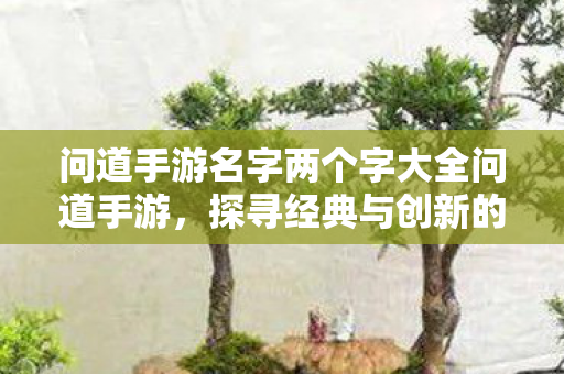 问道手游名字两个字大全问道手游，探寻经典与创新的完美融合，探寻问道手游名字大全，经典与创新的完美融合