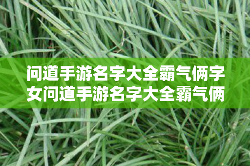 问道手游名字大全霸气俩字女问道手游名字大全霸气俩字,霸气双字女名大全,问道手游专属 问道手游名字大全霸气俩字女问道手游名字大全霸气俩字,霸气双字女名大全,问道手游专属