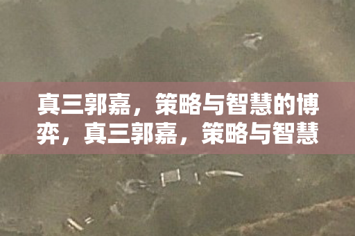 真三郭嘉，策略与智慧的博弈，真三郭嘉，策略与智慧的较量