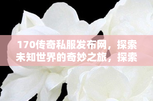 170传奇私服发布网，探索未知世界的奇妙之旅，探索未知世界的奇妙之旅，170传奇私服发布网