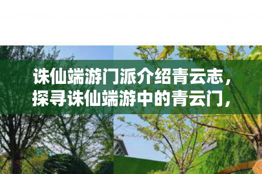 诛仙端游门派介绍青云志，探寻诛仙端游中的青云门，探寻青云志，诛仙端游中的青云门揭秘