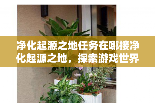 净化起源之地任务在哪接净化起源之地，探索游戏世界的纯净与公正，探索起源之地，净化任务接取指南