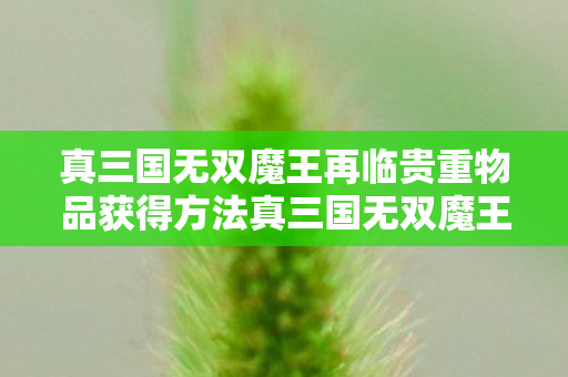 真三国无双魔王再临贵重物品获得方法真三国无双魔王再临，经典再现，激情燃烧的岁月，真三国无双魔王再临经典再现，激情燃烧的岁月