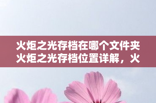 火炬之光存档在哪个文件夹火炬之光存档位置详解，火炬之光存档位置详解