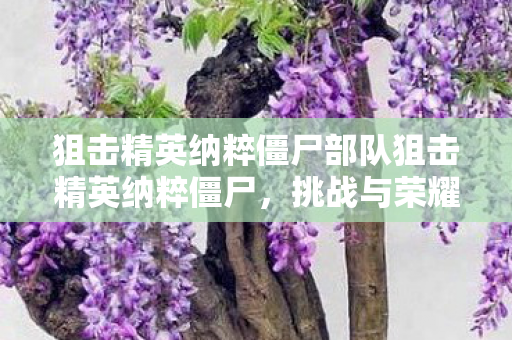 狙击精英纳粹僵尸部队狙击精英纳粹僵尸，挑战与荣耀的战场，狙击精英纳粹僵尸部队，荣耀与挑战并存的战场