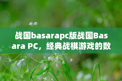战国basarapc版战国Basara PC，经典战棋游戏的数字化重生，战国BasaraPC版，经典战棋游戏的数字化重生