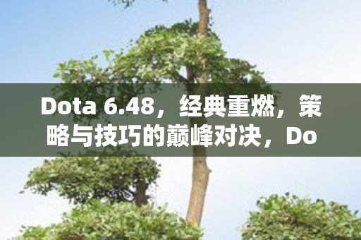 Dota 6.48，经典重燃，策略与技巧的巅峰对决，Dota 6.48，经典重燃，策略与技巧的巅峰对决