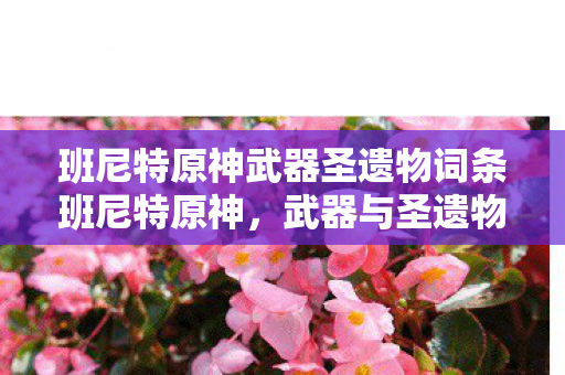 班尼特原神武器圣遗物词条班尼特原神，武器与圣遗物的选择指南，班尼特原神，武器与圣遗物选择指南