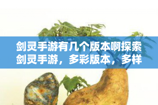 剑灵手游有几个版本啊探索剑灵手游图片