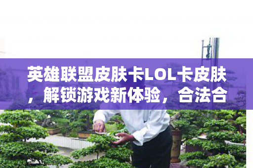 英雄联盟皮肤卡LOL卡皮肤，解锁游戏新体验，合法合规享乐趣，解锁英雄联盟皮肤新体验，合法合规享乐趣