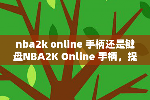 nba2k online 手柄还是键盘NBA2K Online 手柄,提升游戏体验的关键设备,NBA2K Online,手柄是提升游戏体验的关键设备 nba2k online 手柄还是键盘NBA2K Online 手柄,提升游戏体验的关键设备,NBA2K Online,手柄是提升游戏体验的关键设备