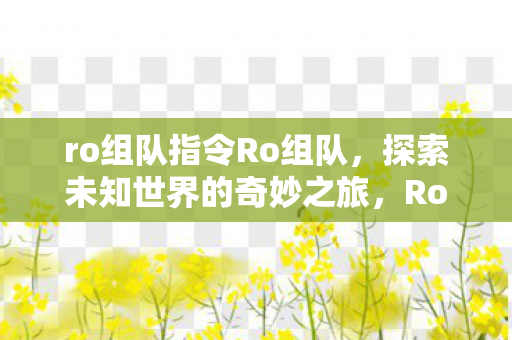 ro组队指令Ro组队，探索未知世界的奇妙之旅，Ro组队，探索未知世界的奇妙之旅