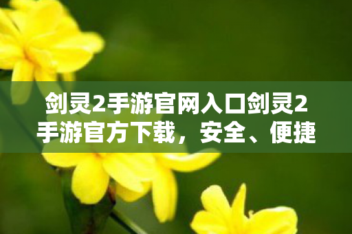剑灵2手游官网入口剑灵2手游官方下载，安全、便捷的游戏体验，剑灵2手游官网入口，安全、便捷下载，开启你的冒险之旅