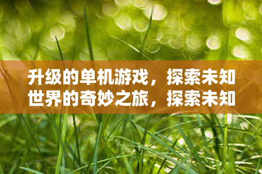 升级的单机游戏，探索未知世界的奇妙之旅，探索未知世界的奇妙之旅，升级单机游戏新体验