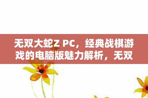 无双大蛇Z PC，经典战棋游戏的电脑版魅力解析，无双大蛇ZPC版，经典战棋游戏魅力解析