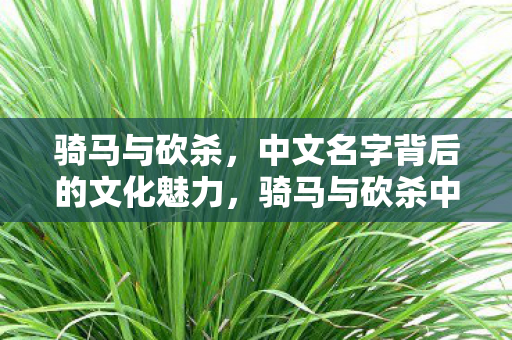 骑马与砍杀中文名字背后的文化魅力图片