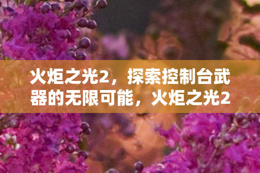 火炬之光2，探索控制台武器的无限可能，火炬之光2探索控制台武器，解锁无限可能！