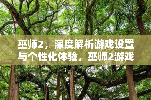 巫师2，深度解析游戏设置与个性化体验，巫师2游戏设置与个性化体验深度解析