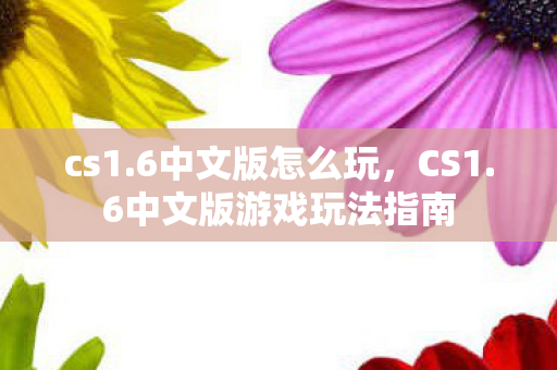 cs1.6中文版怎么玩,CS1.6中文版游戏玩法指南 cs1.6中文版怎么玩,CS1.6中文版游戏玩法指南