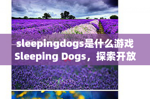 sleepingdogs是什么游戏Sleeping Dogs，探索开放世界下的自由与冒险，Sleeping Dogs，在开放世界中自由冒险
