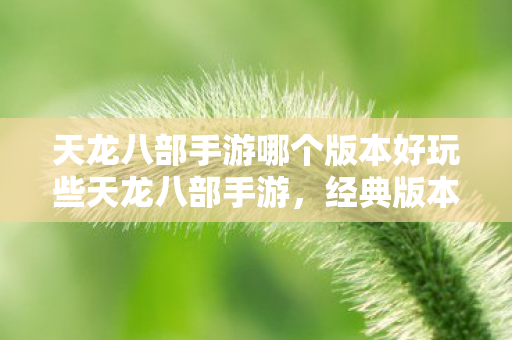 天龙八部手游哪个版本好玩些天龙八部手游图片
