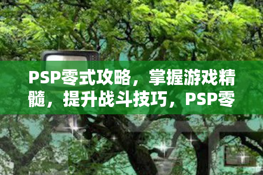 PSP零式攻略，掌握游戏精髓，提升战斗技巧，PSP零式攻略，掌握游戏精髓，提升战斗技巧