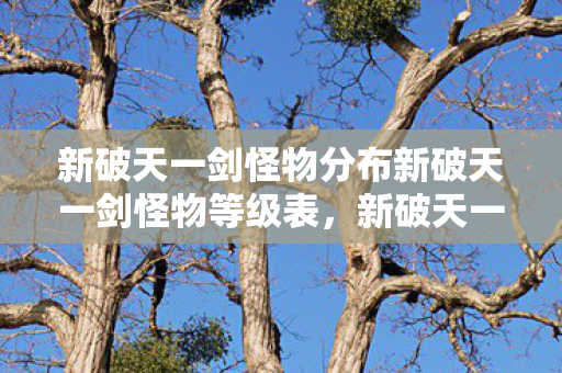 新破天一剑怪物分布新破天一剑怪物等级表图片