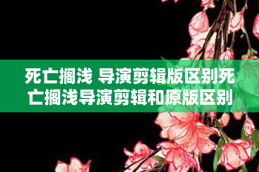 死亡搁浅 导演剪辑版区别死亡搁浅导演剪辑和原版区别，深度解析游戏体验的变革，死亡搁浅导演剪辑版，游戏体验变革的深度解析