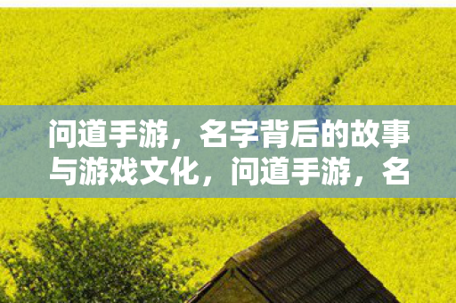 问道手游，名字背后的故事与游戏文化，问道手游，名字背后的故事与游戏文化的探索