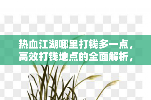 热血江湖哪里打钱多一点,高效打钱地点的全面解析,热血江湖高效打钱地点全面解析 热血江湖哪里打钱多一点,高效打钱地点的全面解析,热血江湖高效打钱地点全面解析