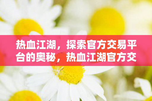 热血江湖，探索官方交易平台的奥秘，热血江湖官方交易平台，探索交易奥秘