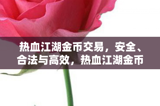 热血江湖金币交易，安全、合法与高效，热血江湖金币交易，安全、合法与高效全解析