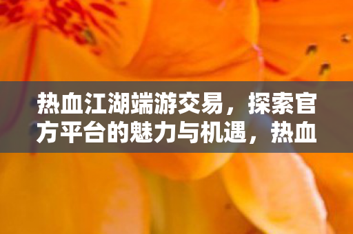 热血江湖端游交易，探索官方平台的魅力与机遇，热血江湖端游官方交易平台，探索交易魅力与机遇