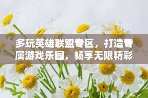 多玩英雄联盟专区，打造专属游戏乐园，畅享无限精彩，多玩英雄联盟专区，打造专属游戏乐园，畅享无限精彩