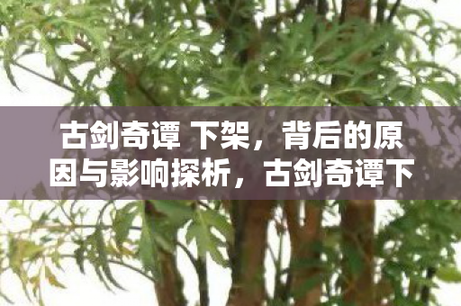 古剑奇谭 下架，背后的原因与影响探析，古剑奇谭下架背后的原因及影响探析