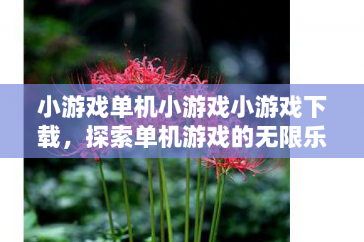 小游戏单机小游戏小游戏下载，探索单机游戏的无限乐趣，探索单机游戏的无限乐趣，小游戏下载与单机游戏推荐