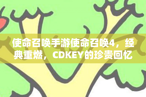 使命召唤手游使命召唤4，经典重燃，CDKEY的珍贵回忆，使命召唤4手游重燃经典，CDKEY珍贵回忆唤起玩家情怀