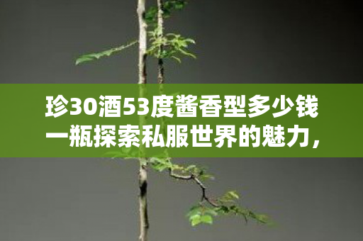 珍30酒53度酱香型多少钱一瓶探索私服世界的魅力，游戏玩家的另类选择，探索私服世界的魅力，游戏玩家的另类选择